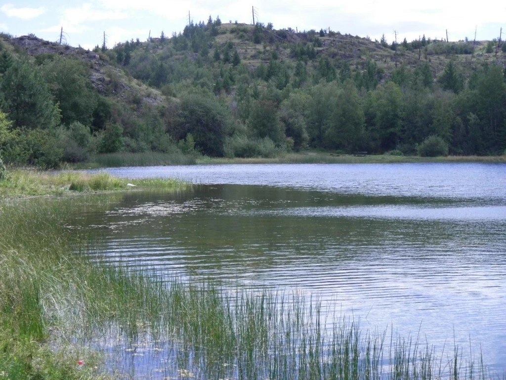 Photo: Recreation Sites and Trails BC. © Province of British Columbia, licensed under the Open Government Licence – British Columbia. Ripley Lake, photo 6