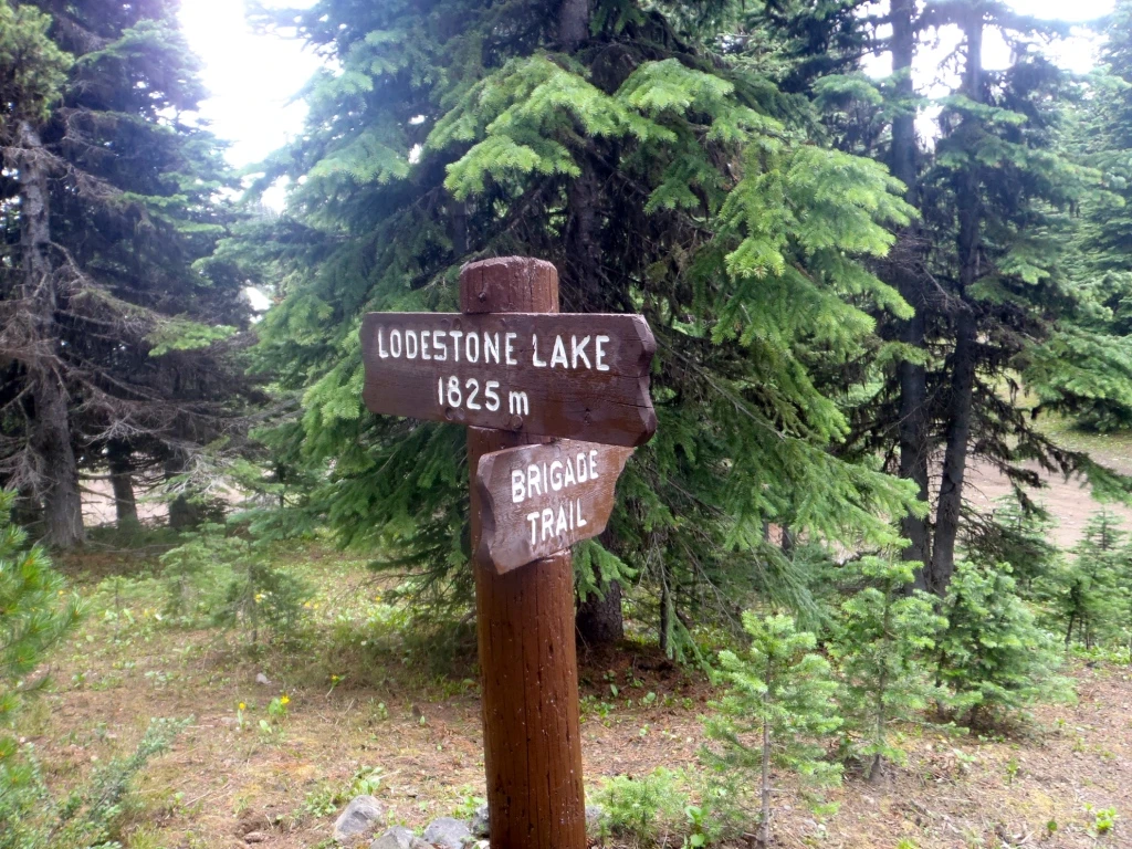 Photo: Recreation Sites and Trails BC. © Province of British Columbia, licensed under the Open Government Licence – British Columbia. Lodestone Lake, photo 4