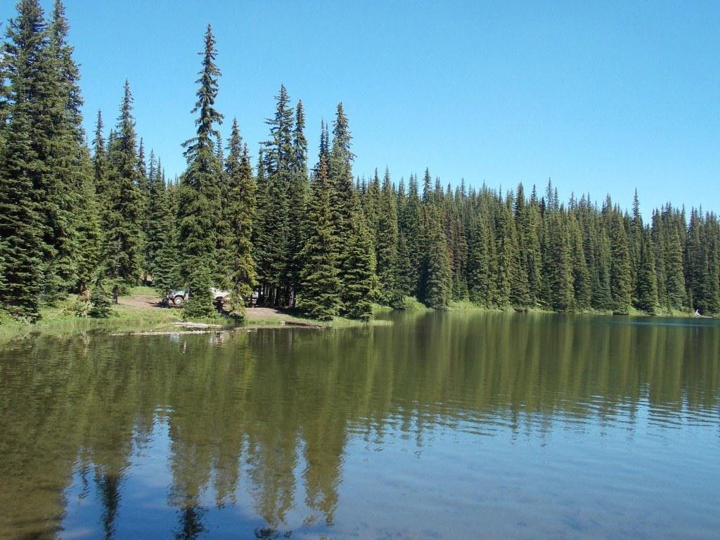 Photo: Recreation Sites and Trails BC. © Province of British Columbia, licensed under the Open Government Licence – British Columbia. Lodestone Lake, photo 3