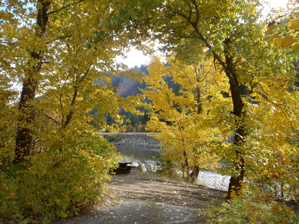 Photo: Recreation Sites and Trails BC. © Province of British Columbia, licensed under the Open Government Licence – British Columbia. Dewdney, photo 4