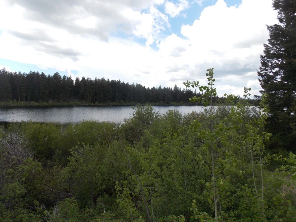 Photo: Recreation Sites and Trails BC. © Province of British Columbia, licensed under the Open Government Licence – British Columbia. Thalia Lake South, photo 3
