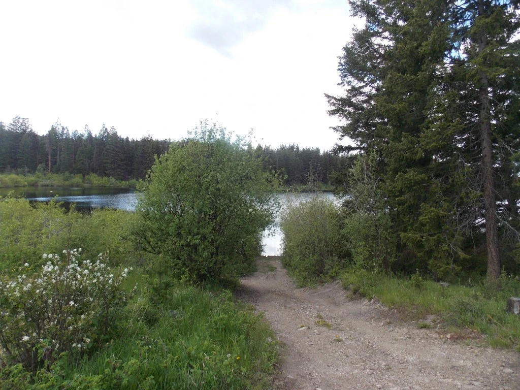 Photo: Recreation Sites and Trails BC. © Province of British Columbia, licensed under the Open Government Licence – British Columbia. Thalia Lake South, photo 4