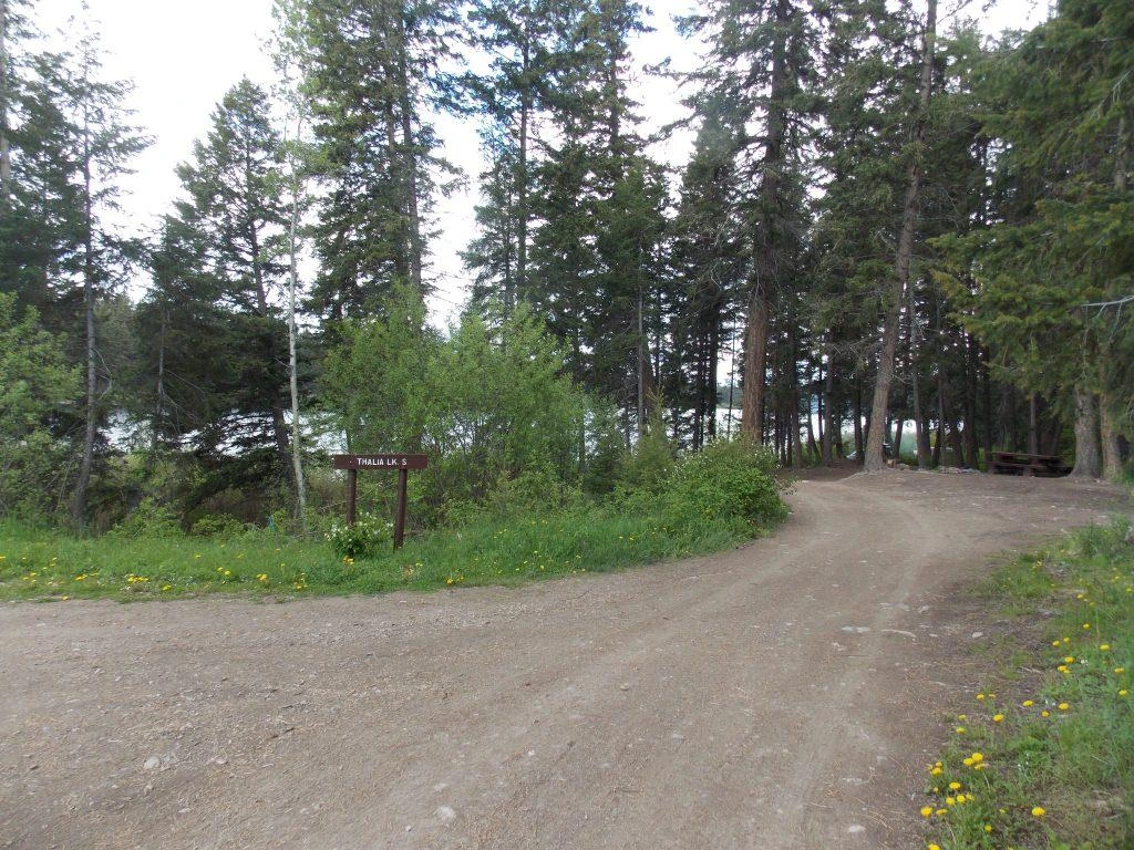 Photo: Recreation Sites and Trails BC. © Province of British Columbia, licensed under the Open Government Licence – British Columbia. Thalia Lake South, photo 2