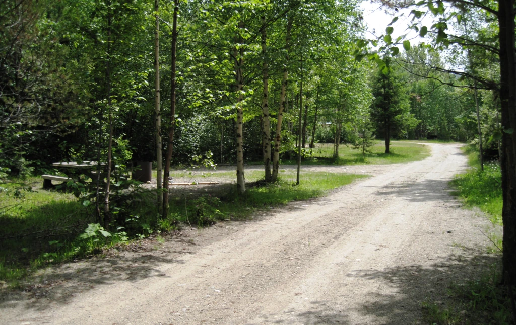Photo: Recreation Sites and Trails BC. © Province of British Columbia, licensed under the Open Government Licence – British Columbia. Griffin Sawmill Recreation Site, photo 6