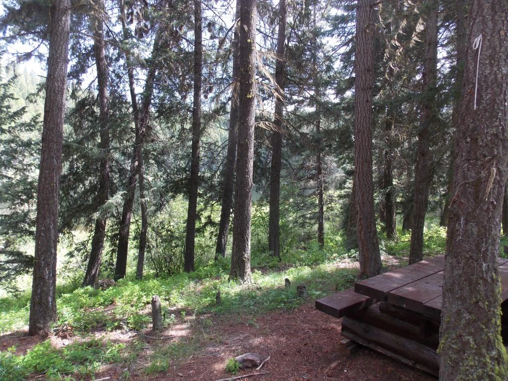 Photo: Recreation Sites and Trails BC. © Province of British Columbia, licensed under the Open Government Licence – British Columbia. Lodwick Lake South, photo 3