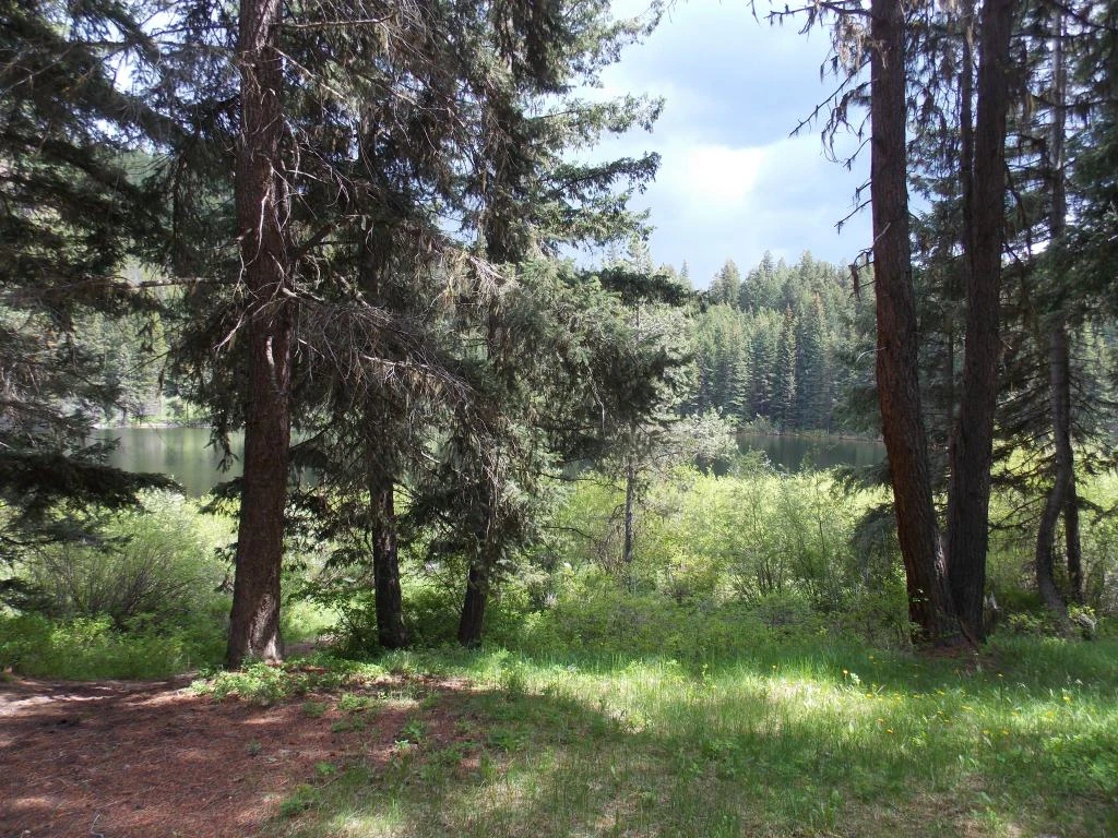 Photo: Recreation Sites and Trails BC. © Province of British Columbia, licensed under the Open Government Licence – British Columbia. Lodwick Lake South, photo 2