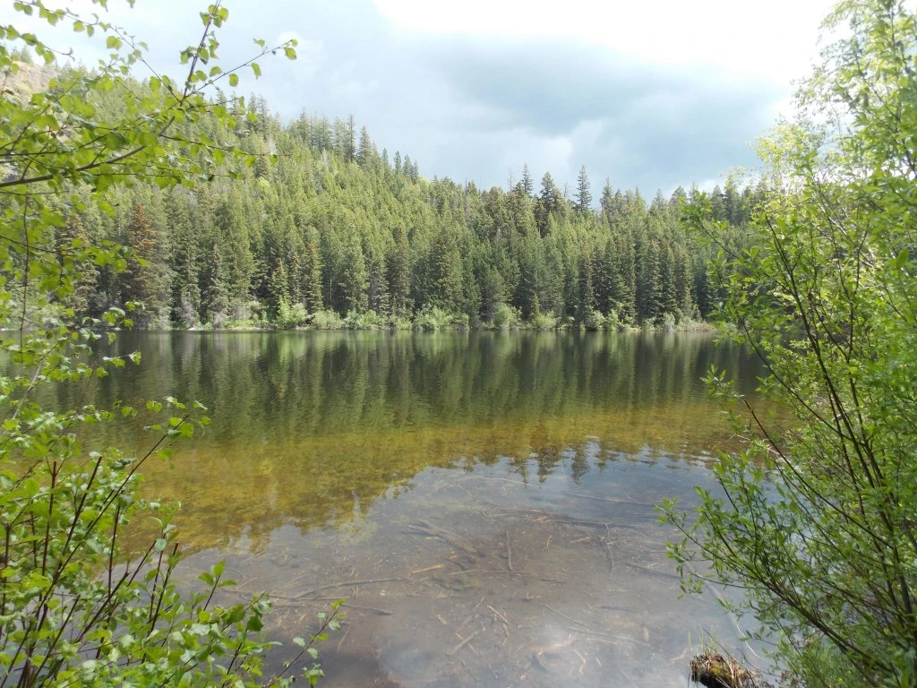 Photo: Recreation Sites and Trails BC. © Province of British Columbia, licensed under the Open Government Licence – British Columbia. Lodwick Lake South, photo 4