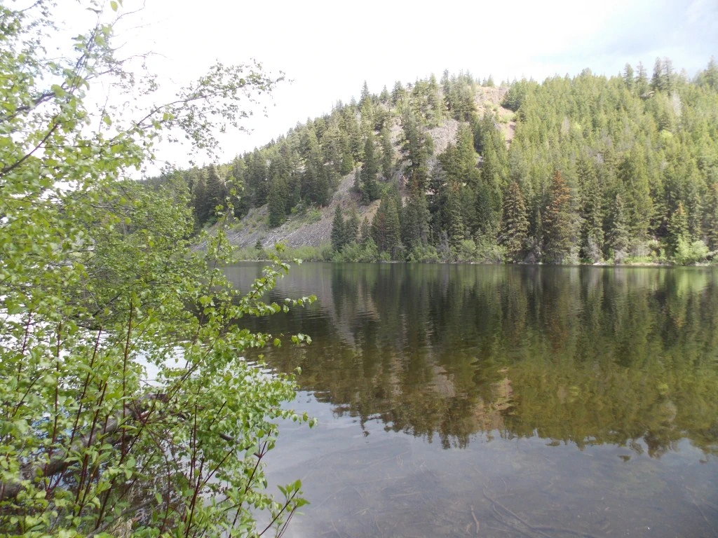 Photo: Recreation Sites and Trails BC. © Province of British Columbia, licensed under the Open Government Licence – British Columbia. Lodwick Lake South, photo 5