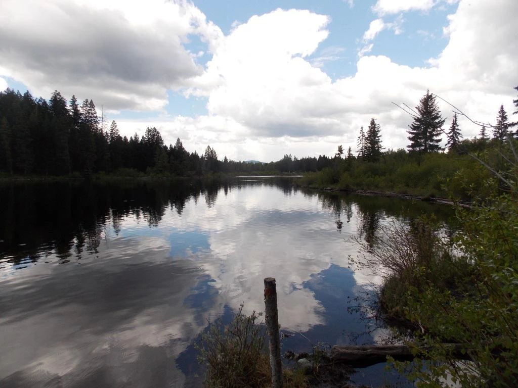 Photo: Recreation Sites and Trails BC. © Province of British Columbia, licensed under the Open Government Licence – British Columbia. Lodwick Lake North, photo 3