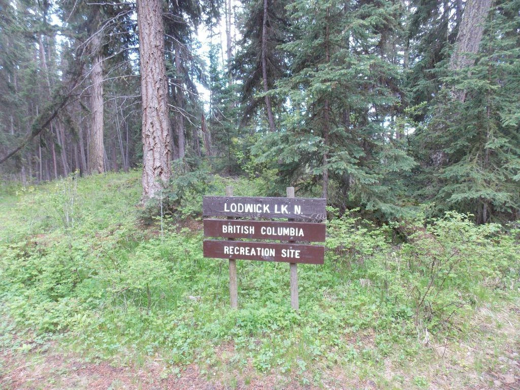 Photo: Recreation Sites and Trails BC. © Province of British Columbia, licensed under the Open Government Licence – British Columbia. Lodwick Lake North, photo 6