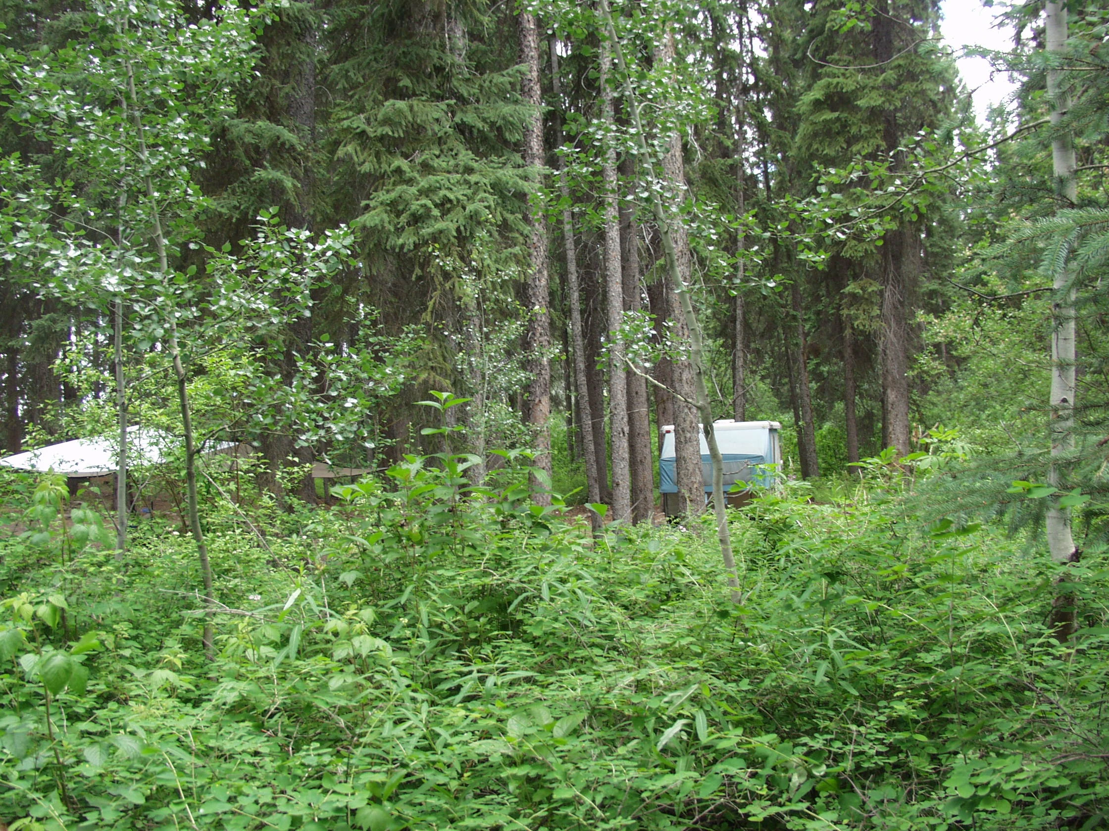 Lodwick Lake North