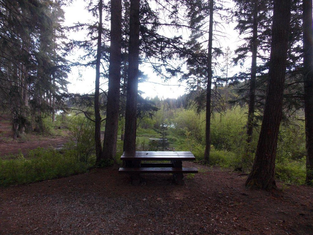 Photo: Recreation Sites and Trails BC. © Province of British Columbia, licensed under the Open Government Licence – British Columbia. Lodwick Lake North, photo 2