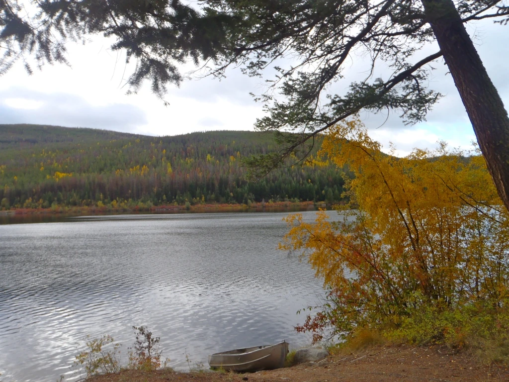 Photo: Recreation Sites and Trails BC. © Province of British Columbia, licensed under the Open Government Licence – British Columbia. Osprey Lake North, photo 3