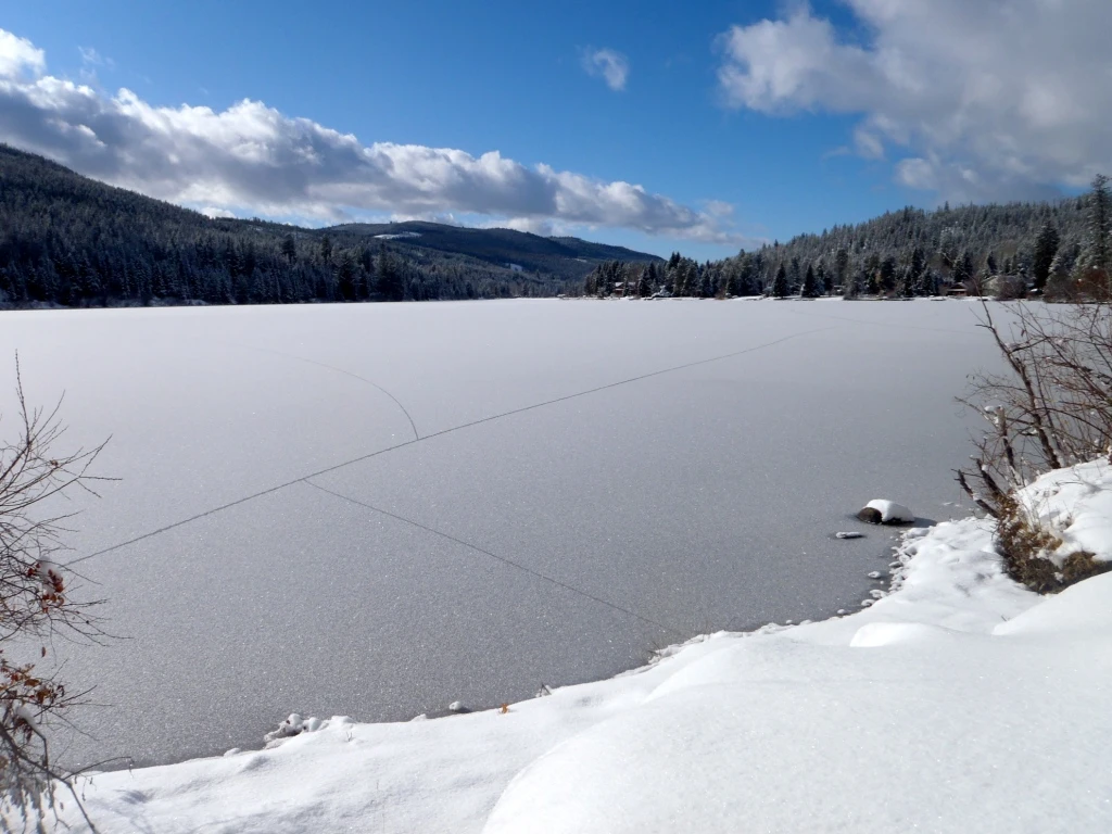 Photo: Recreation Sites and Trails BC. © Province of British Columbia, licensed under the Open Government Licence – British Columbia. Osprey Lake North, photo 5