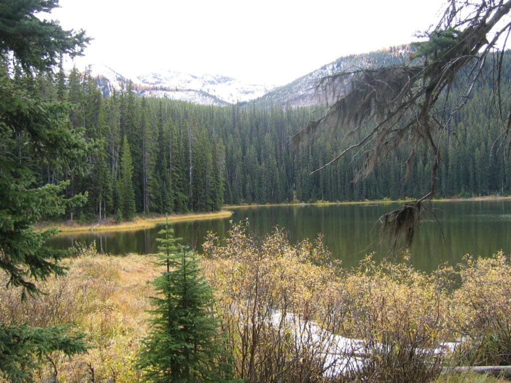 Photo: Recreation Sites and Trails BC. © Province of British Columbia, licensed under the Open Government Licence – British Columbia. Placer Lake, photo 3