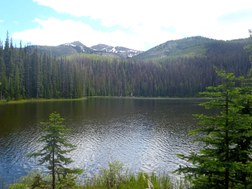 Photo: Recreation Sites and Trails BC. © Province of British Columbia, licensed under the Open Government Licence – British Columbia. Placer Lake, photo 5