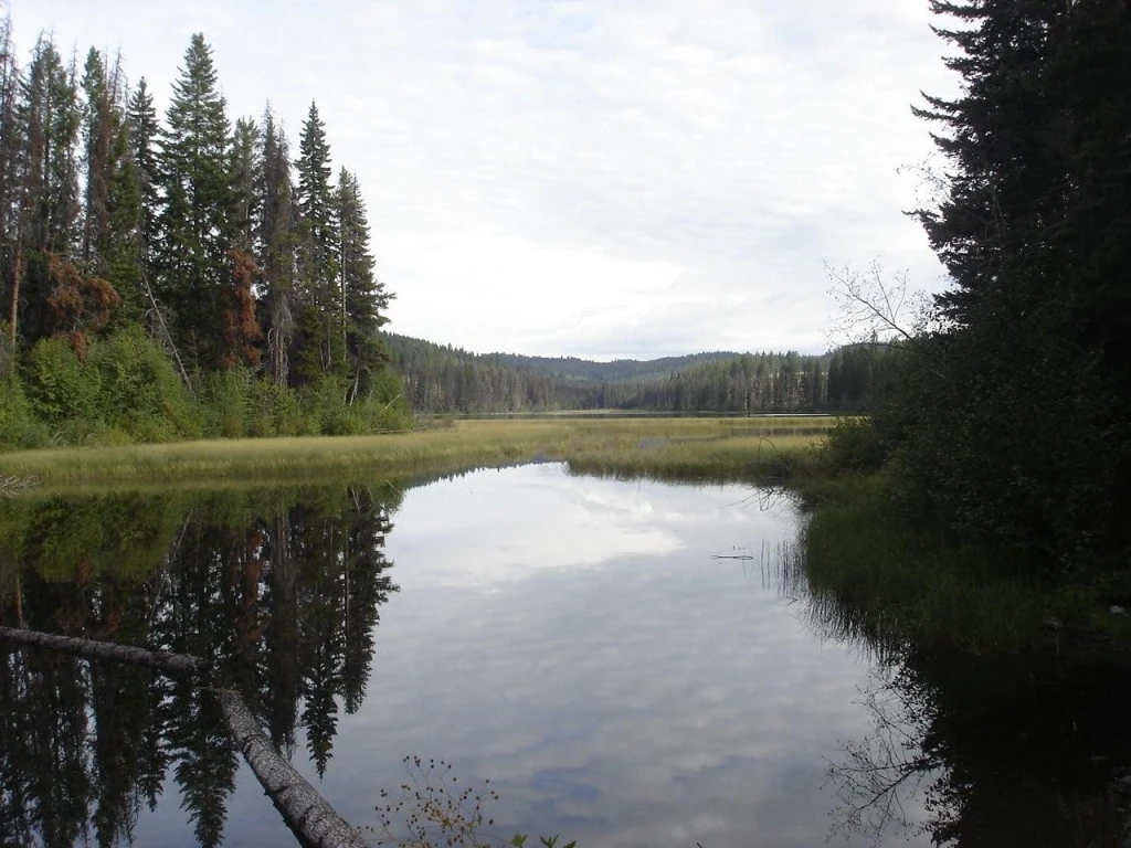 Photo: Recreation Sites and Trails BC. © Province of British Columbia, licensed under the Open Government Licence – British Columbia. Rampart Lake, photo 2