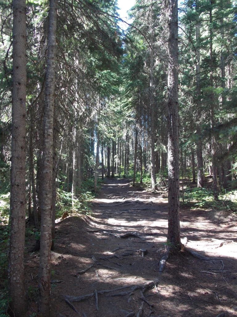 Photo: Recreation Sites and Trails BC. © Province of British Columbia, licensed under the Open Government Licence – British Columbia. Murphy Lakes West, photo 5