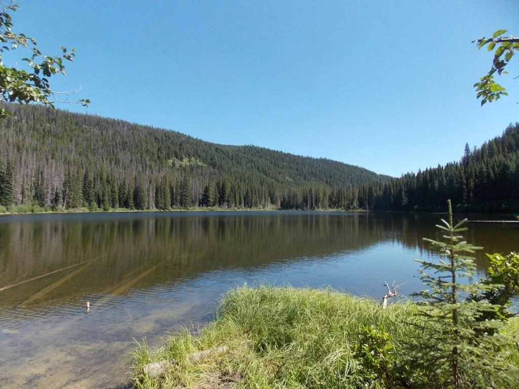 Photo: Recreation Sites and Trails BC. © Province of British Columbia, licensed under the Open Government Licence – British Columbia. Murphy Lakes West, photo 2