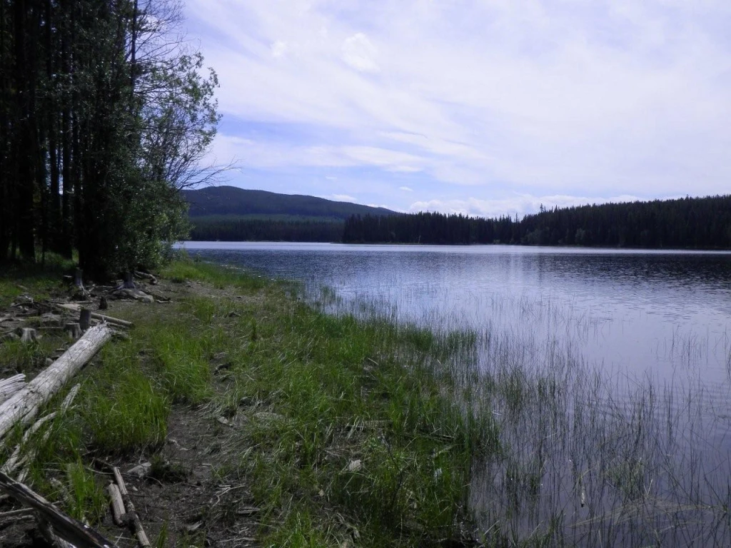 Photo: Recreation Sites and Trails BC. © Province of British Columbia, licensed under the Open Government Licence – British Columbia. Postill Lake, photo 2