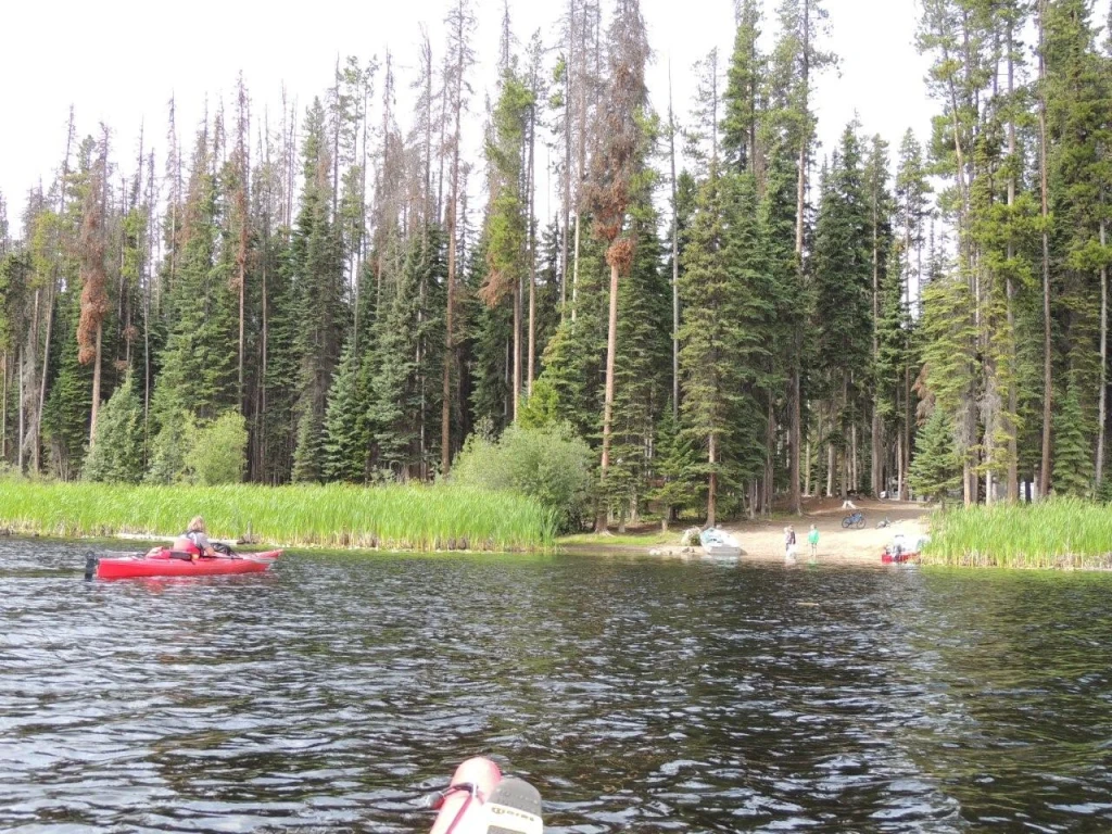Photo: Recreation Sites and Trails BC. © Province of British Columbia, licensed under the Open Government Licence – British Columbia. Island Lake, photo 4