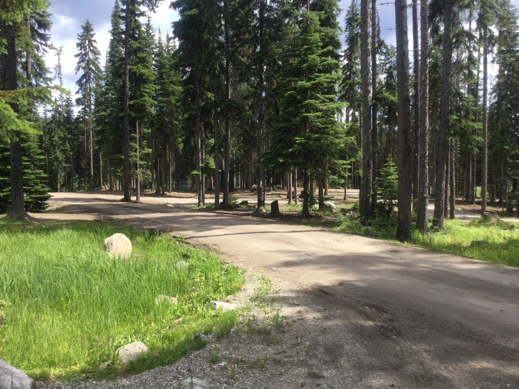 Photo: Recreation Sites and Trails BC. © Province of British Columbia, licensed under the Open Government Licence – British Columbia. Island Lake, photo 2