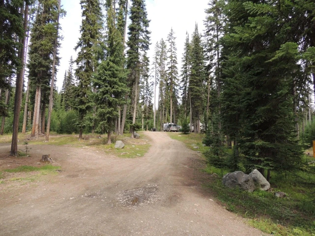 Photo: Recreation Sites and Trails BC. © Province of British Columbia, licensed under the Open Government Licence – British Columbia. Island Lake, photo 5