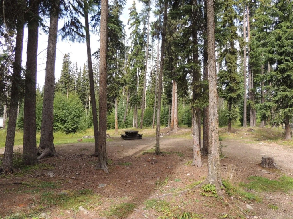 Photo: Recreation Sites and Trails BC. © Province of British Columbia, licensed under the Open Government Licence – British Columbia. Island Lake, photo 7