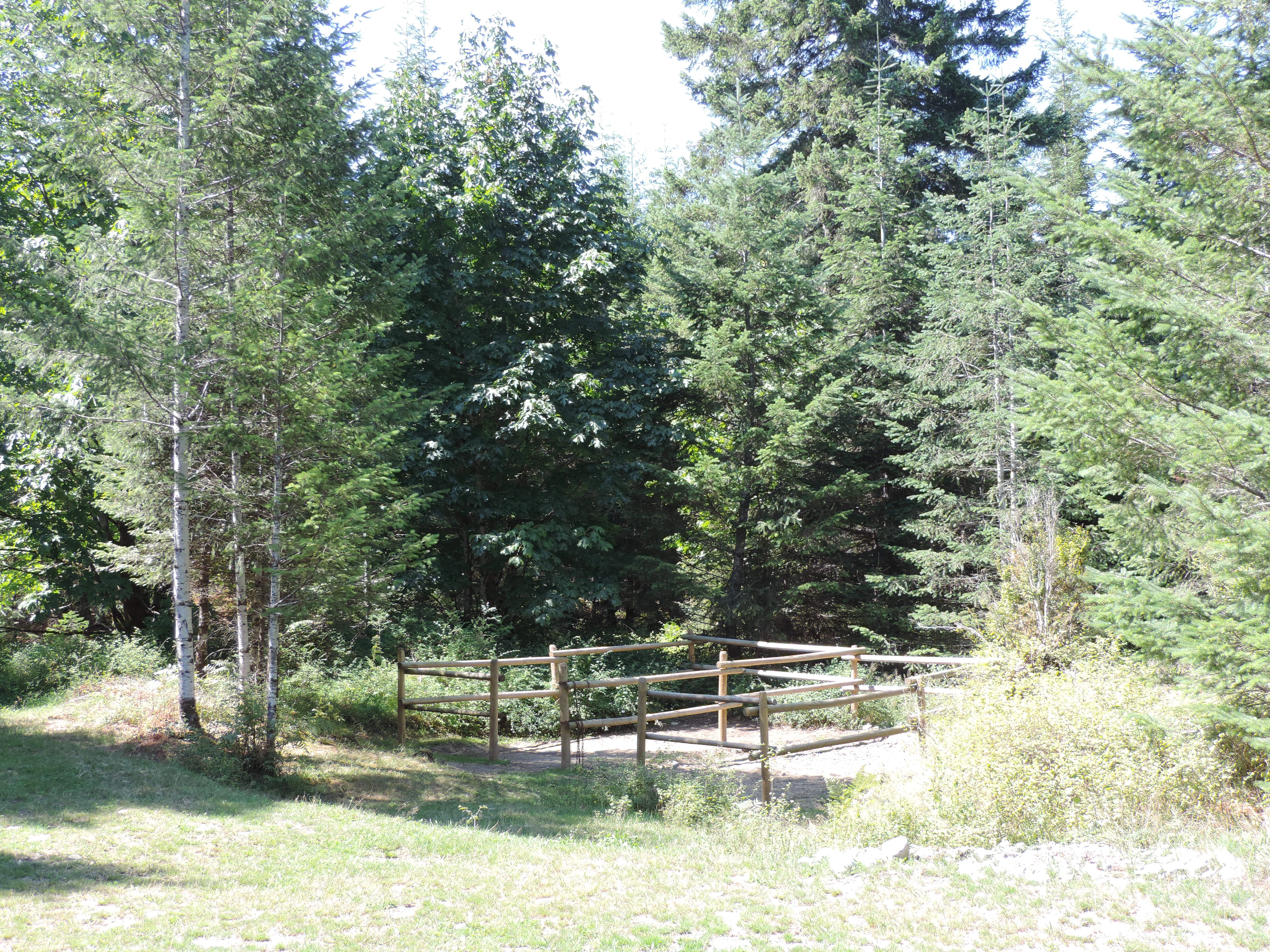 Photo: Recreation Sites and Trails BC. © Province of British Columbia, licensed under the Open Government Licence – British Columbia. Memekay Horse Camp, photo 2