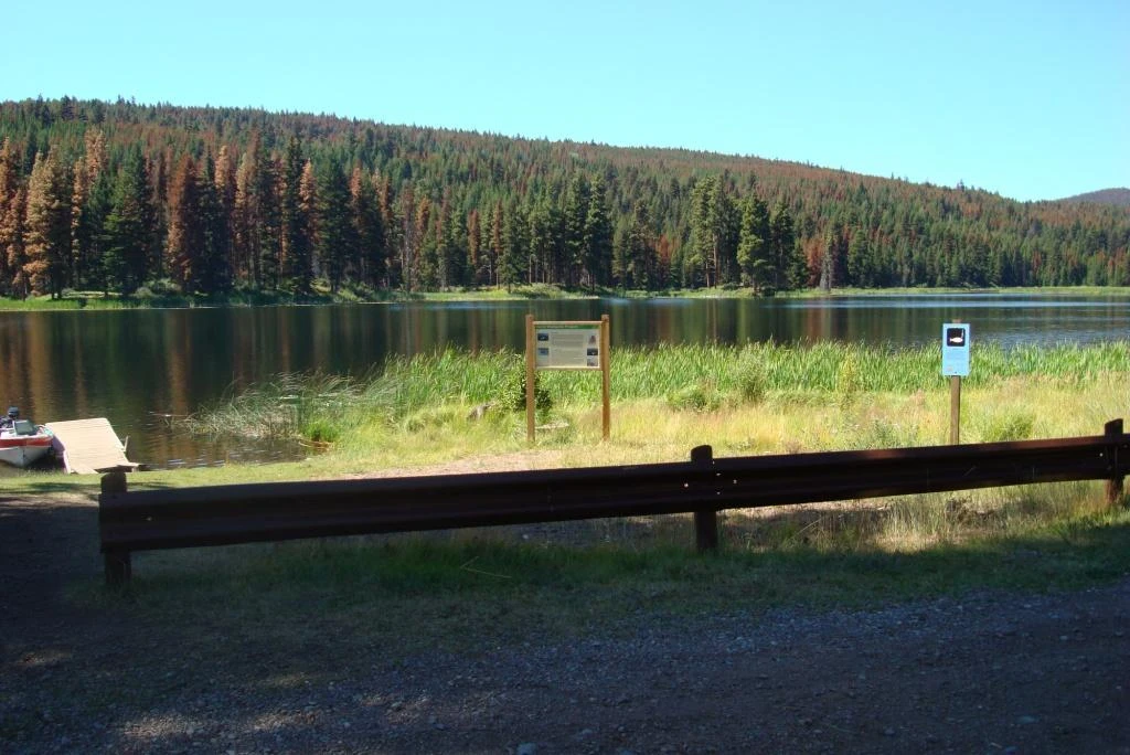 Photo: Recreation Sites and Trails BC. © Province of British Columbia, licensed under the Open Government Licence – British Columbia. Davis Lake, photo 4