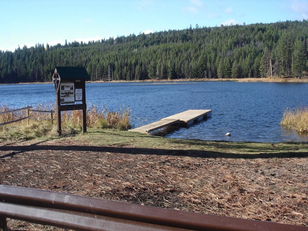 Photo: Recreation Sites and Trails BC. © Province of British Columbia, licensed under the Open Government Licence – British Columbia. Davis Lake
