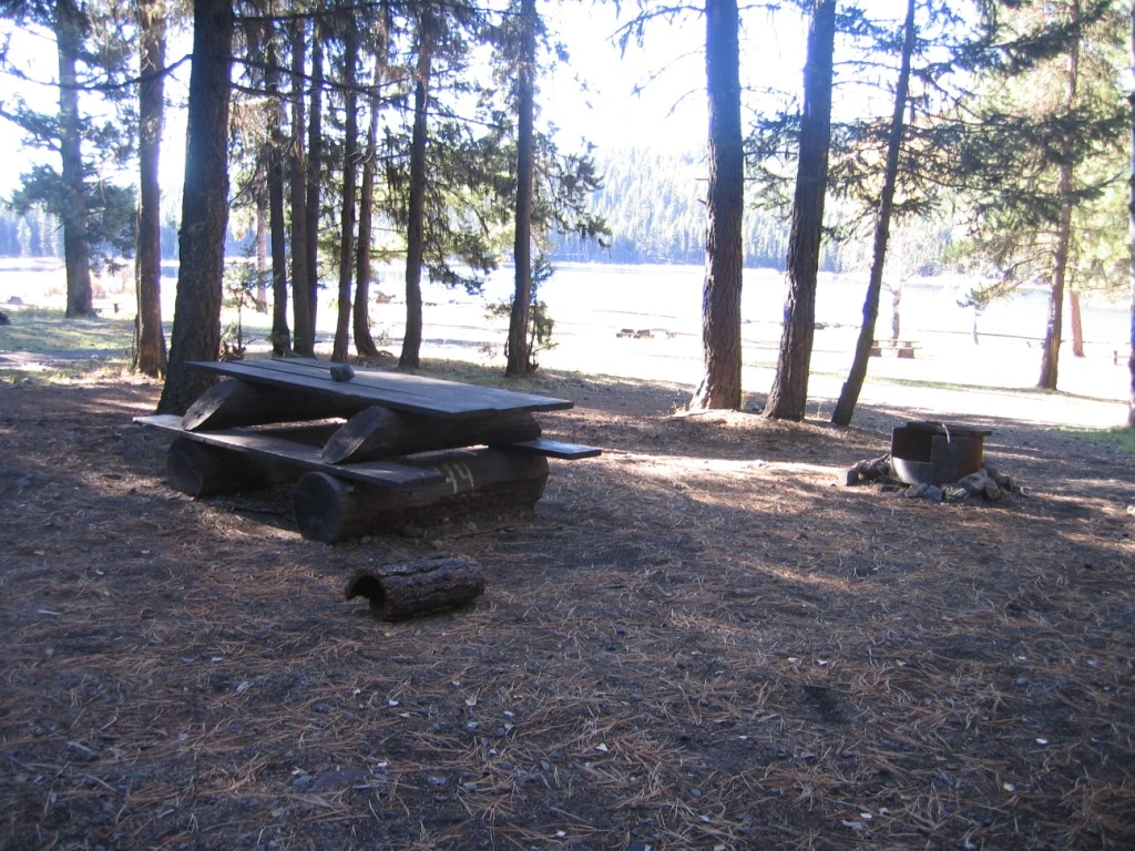 Photo: Recreation Sites and Trails BC. © Province of British Columbia, licensed under the Open Government Licence – British Columbia. Davis Lake, photo 6