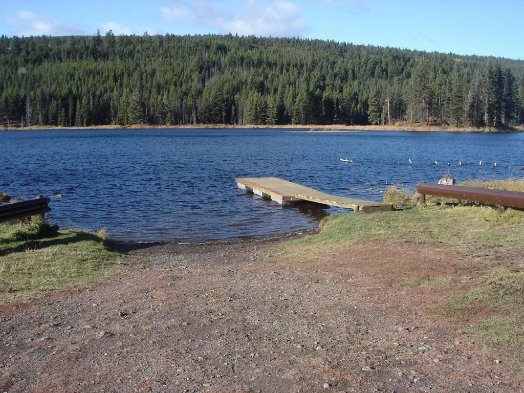 Photo: Recreation Sites and Trails BC. © Province of British Columbia, licensed under the Open Government Licence – British Columbia. Davis Lake, photo 2