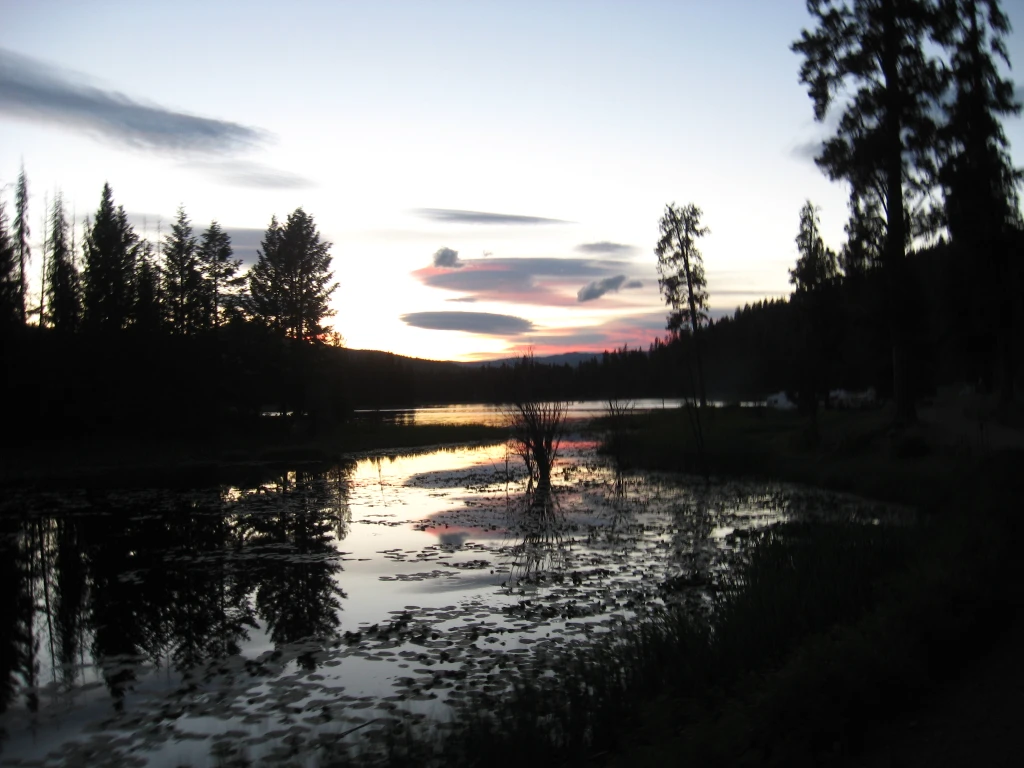 Photo: Recreation Sites and Trails BC. © Province of British Columbia, licensed under the Open Government Licence – British Columbia. Davis Lake, photo 9