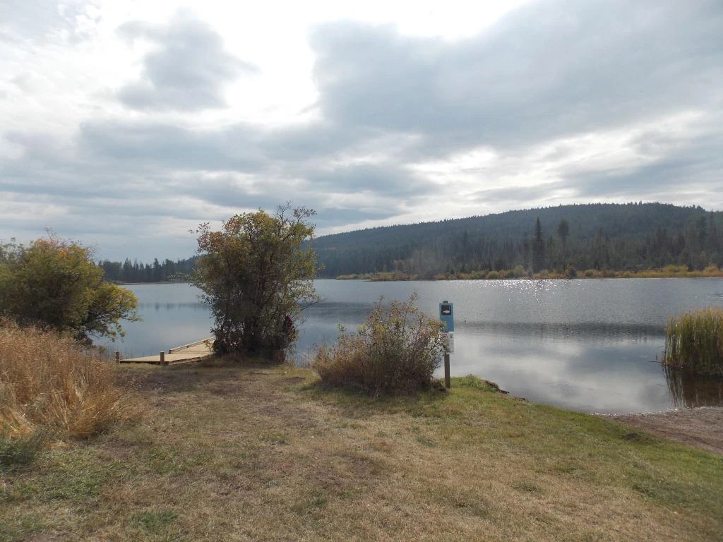 Photo: Recreation Sites and Trails BC. © Province of British Columbia, licensed under the Open Government Licence – British Columbia. Boss Lake, photo 2