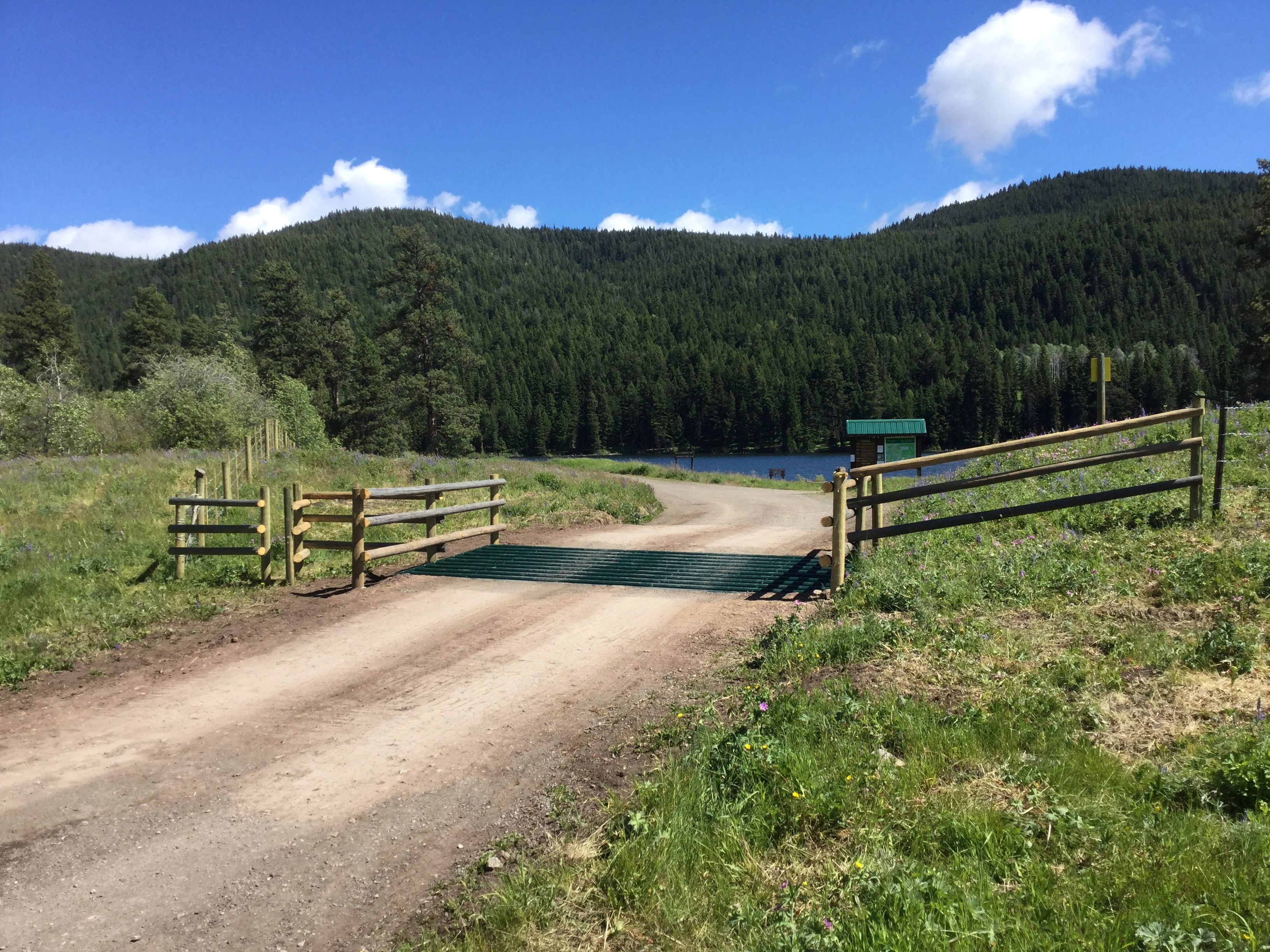 Photo: Recreation Sites and Trails BC. © Province of British Columbia, licensed under the Open Government Licence – British Columbia. Harmon Lake, photo 3