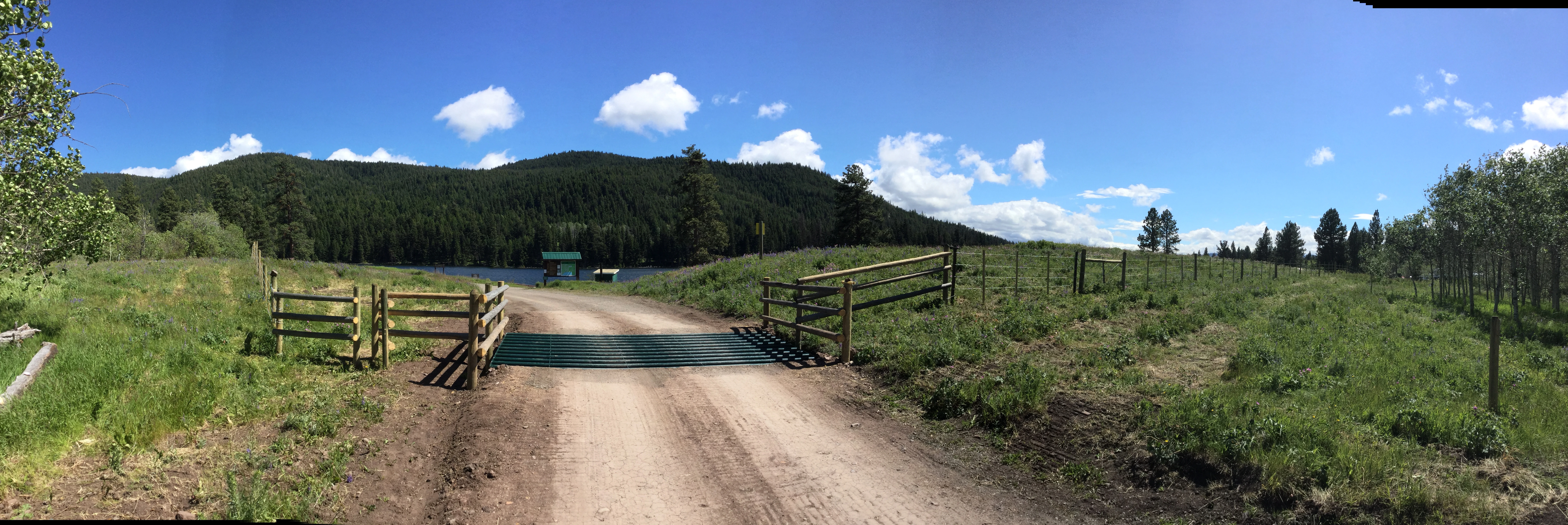 Photo: Recreation Sites and Trails BC. © Province of British Columbia, licensed under the Open Government Licence – British Columbia. Harmon Lake, photo 4