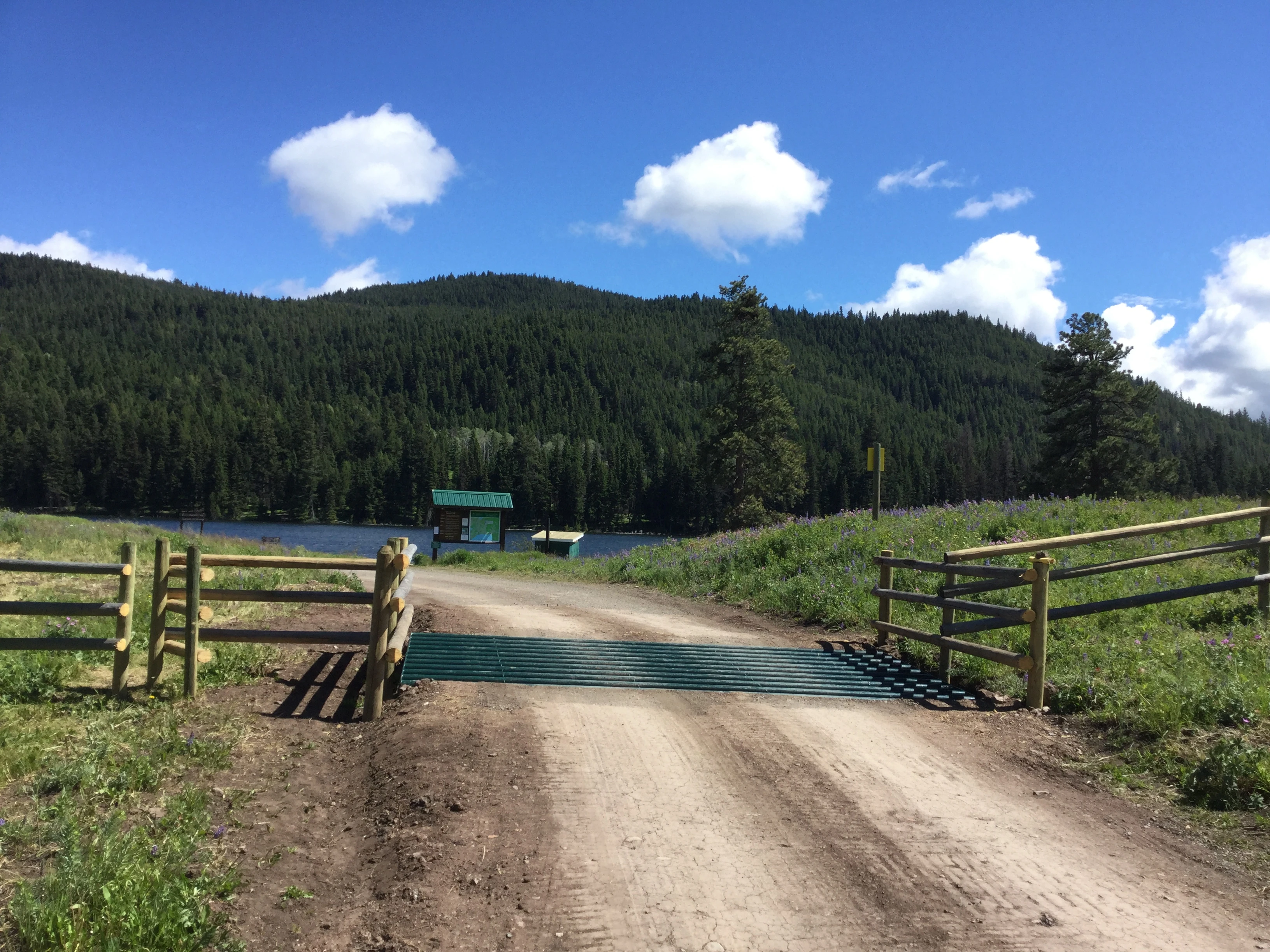 Photo: Recreation Sites and Trails BC. © Province of British Columbia, licensed under the Open Government Licence – British Columbia. Harmon Lake, photo 2