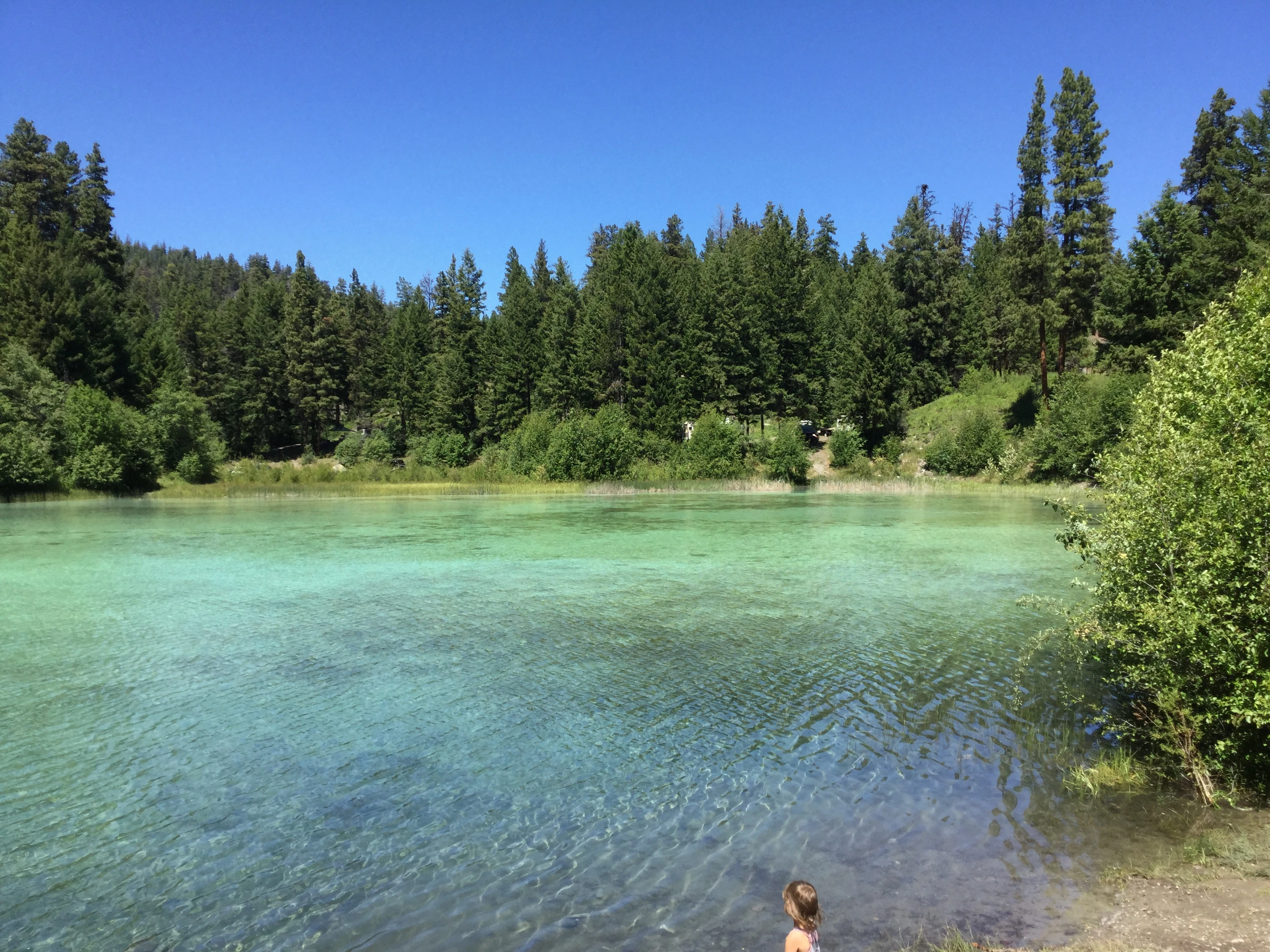 Photo: Recreation Sites and Trails BC. © Province of British Columbia, licensed under the Open Government Licence – British Columbia. Bluey Lake, photo 8