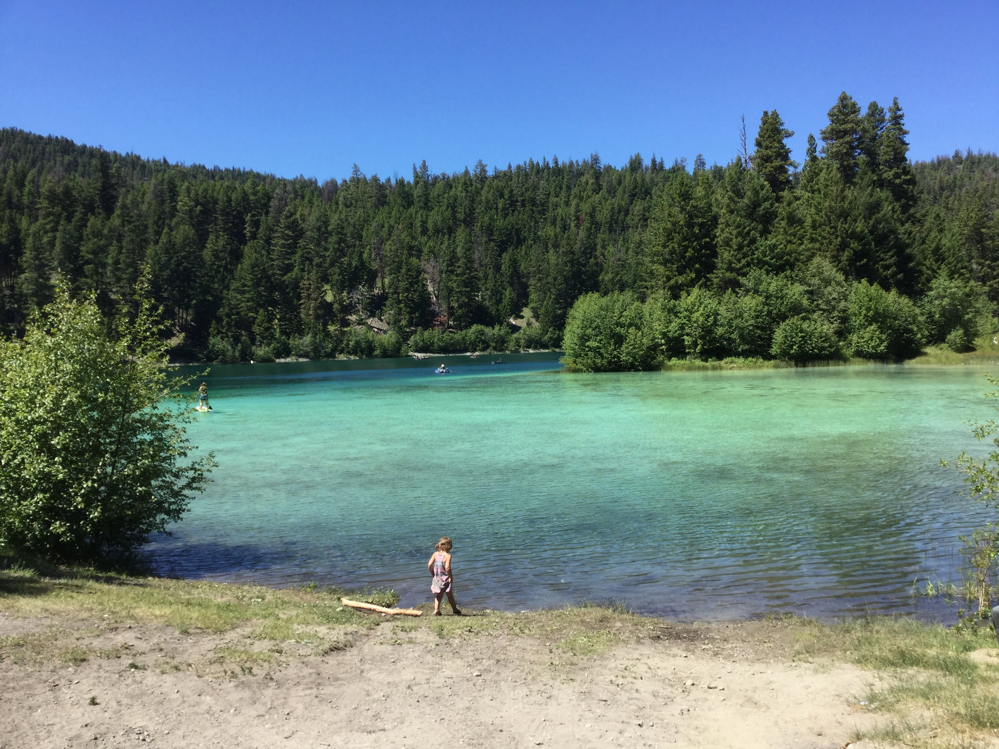Photo: Recreation Sites and Trails BC. © Province of British Columbia, licensed under the Open Government Licence – British Columbia. Bluey Lake, photo 7