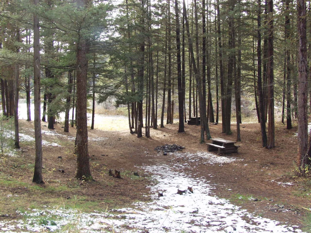 Photo: Recreation Sites and Trails BC. © Province of British Columbia, licensed under the Open Government Licence – British Columbia. Bluey Lake, photo 4