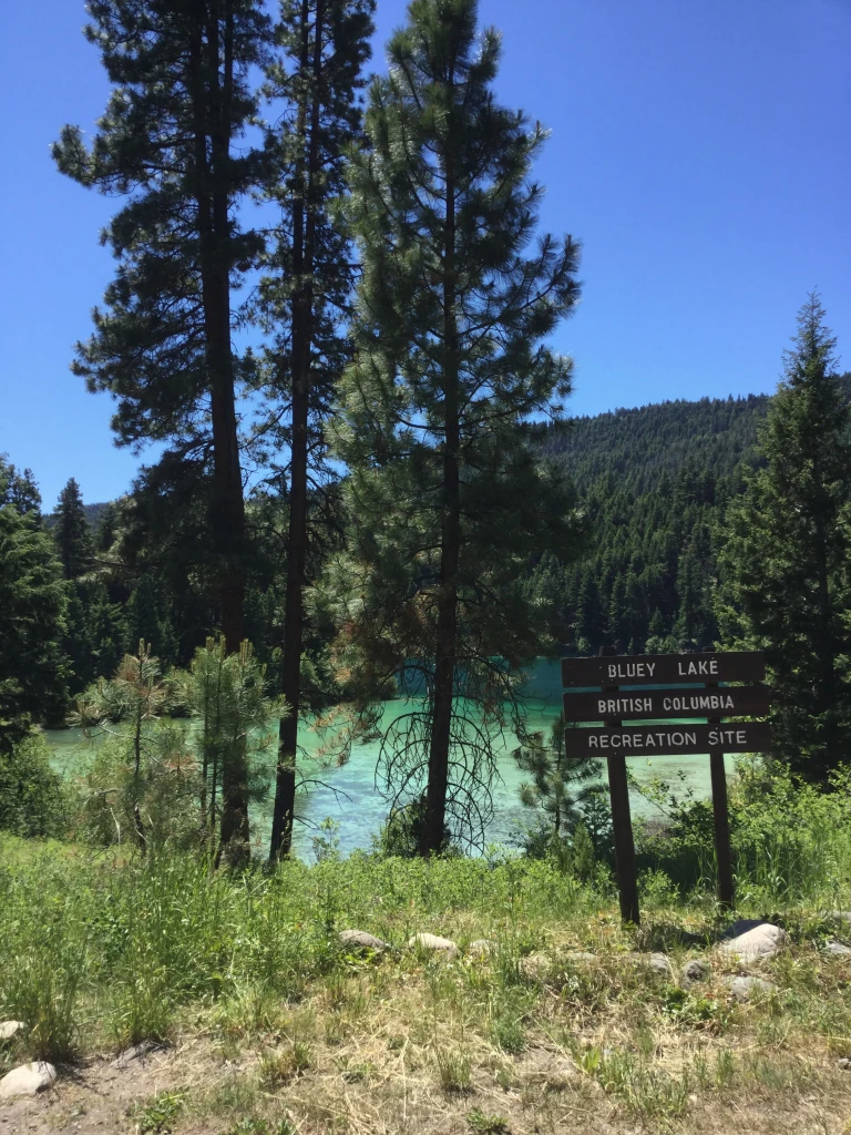 Photo: Recreation Sites and Trails BC. © Province of British Columbia, licensed under the Open Government Licence – British Columbia. Bluey Lake, photo 9