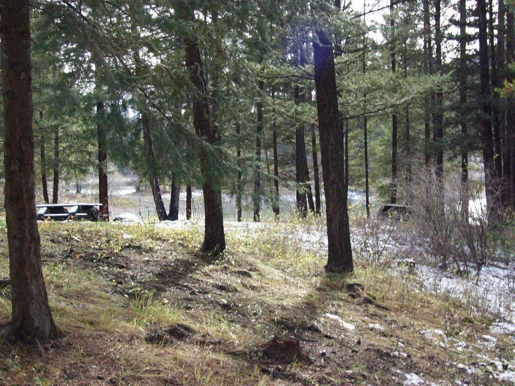 Photo: Recreation Sites and Trails BC. © Province of British Columbia, licensed under the Open Government Licence – British Columbia. Bluey Lake, photo 3