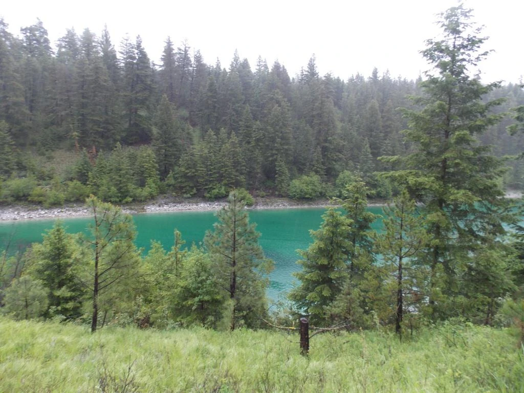 Photo: Recreation Sites and Trails BC. © Province of British Columbia, licensed under the Open Government Licence – British Columbia. Bluey Lake, photo 11