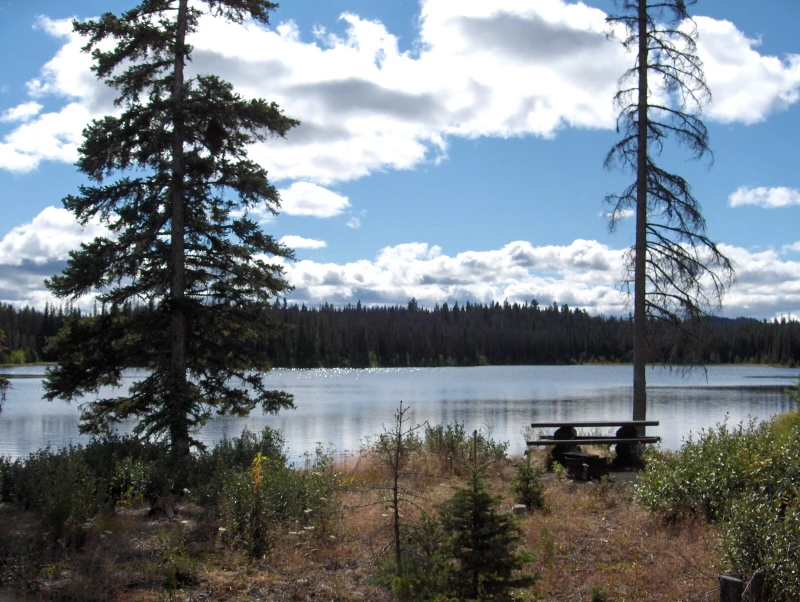 Photo: Recreation Sites and Trails BC. © Province of British Columbia, licensed under the Open Government Licence – British Columbia. Antler Lake, photo 2