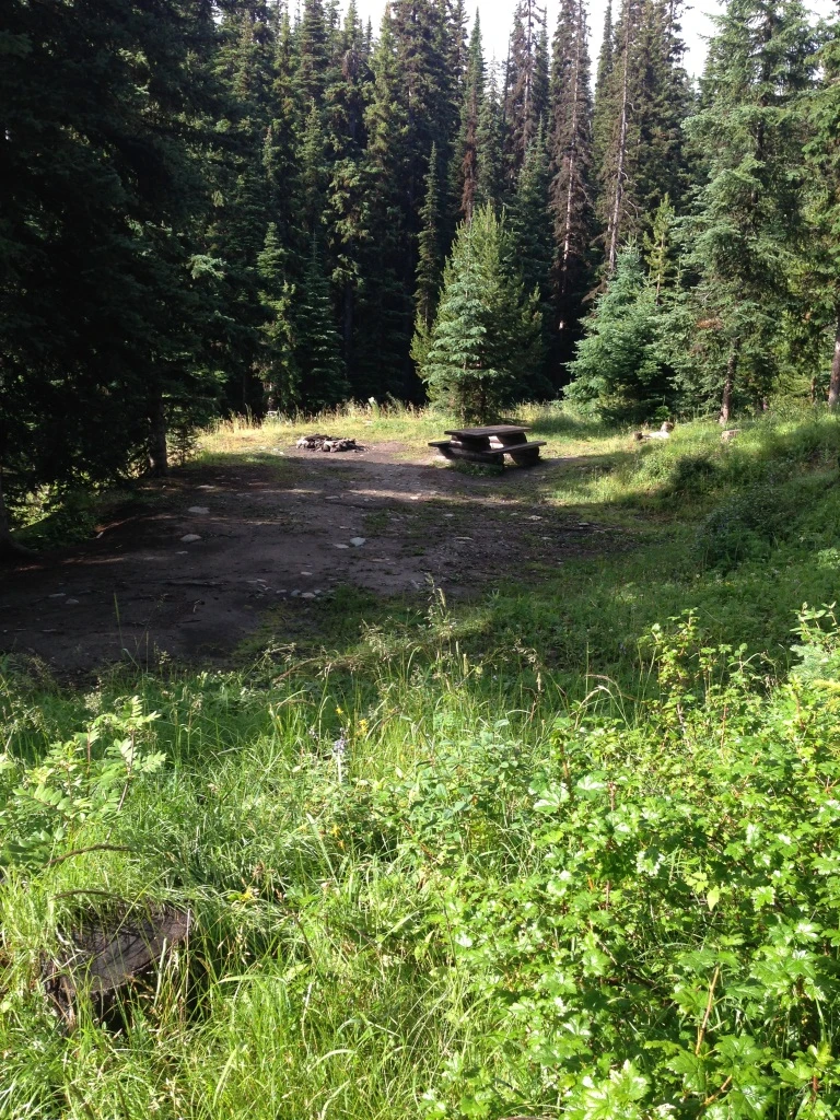Photo: Recreation Sites and Trails BC. © Province of British Columbia, licensed under the Open Government Licence – British Columbia. Billy Lake, photo 2