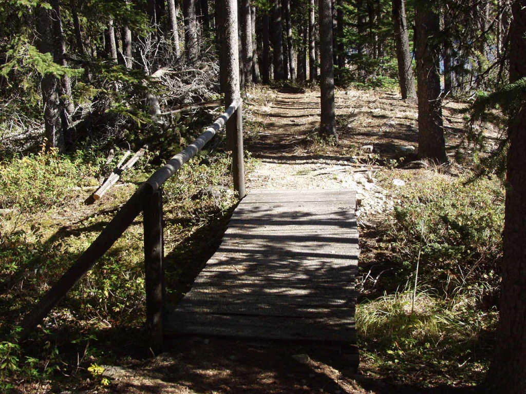 Roscoe Lake