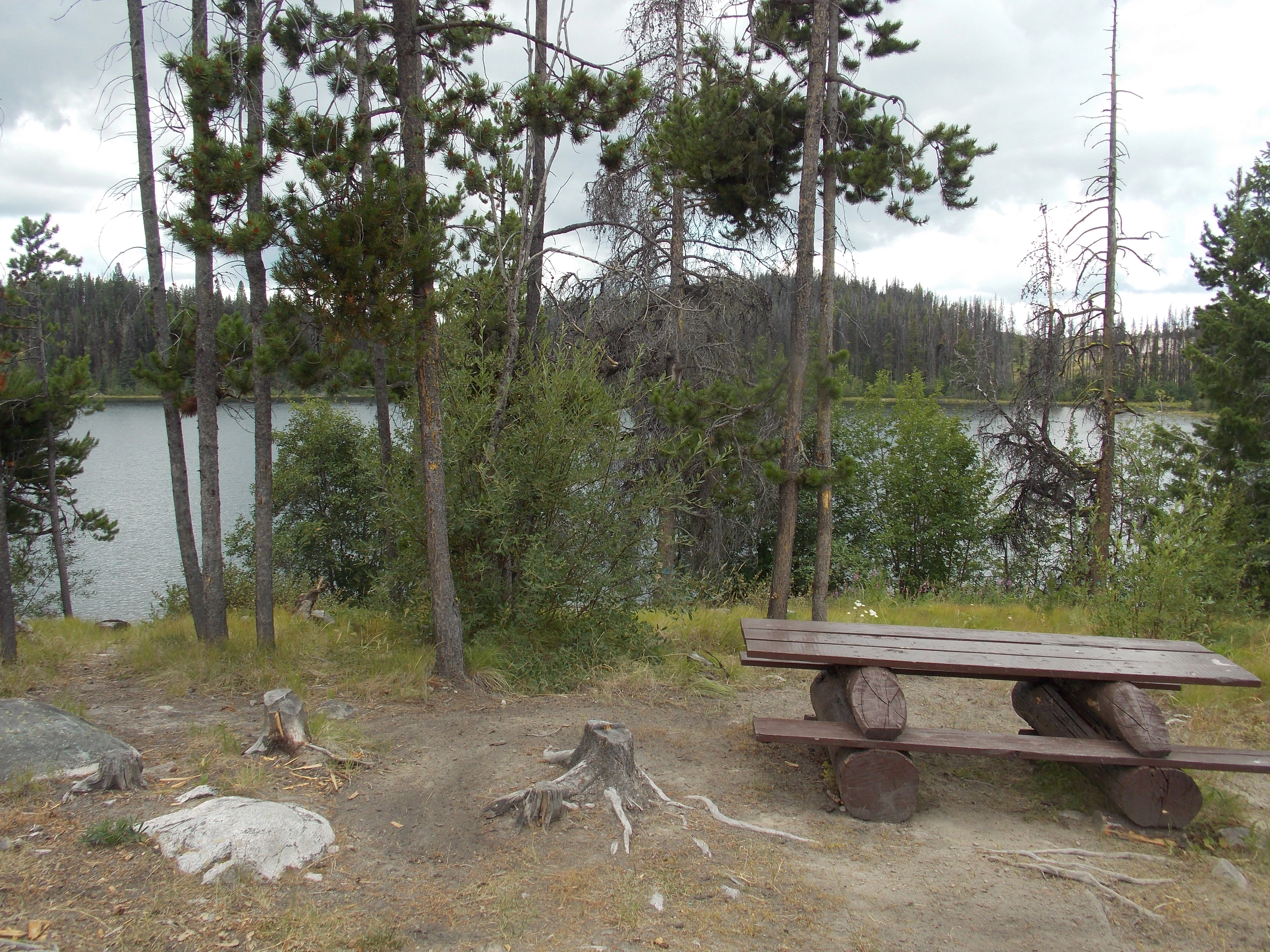 Abbott Lake
