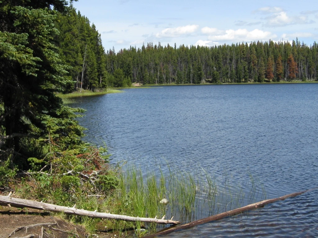 Photo: Recreation Sites and Trails BC. © Province of British Columbia, licensed under the Open Government Licence – British Columbia. Elkhart Lake, photo 6