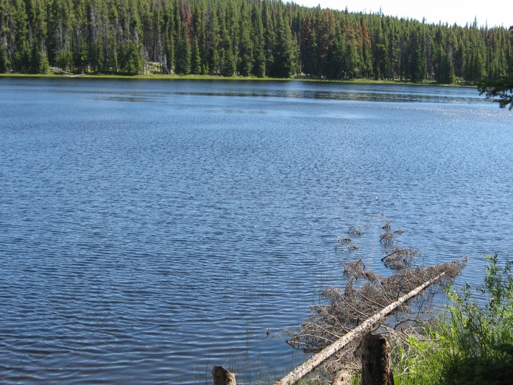 Photo: Recreation Sites and Trails BC. © Province of British Columbia, licensed under the Open Government Licence – British Columbia. Elkhart Lake, photo 5